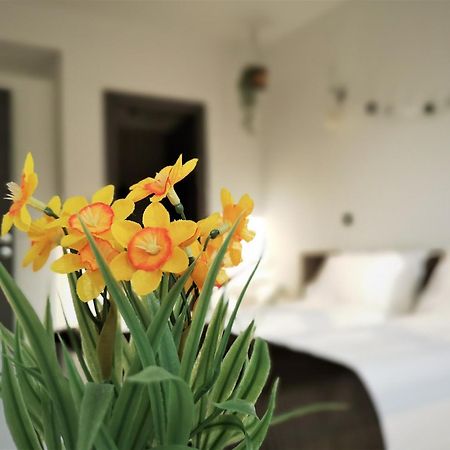 The Evergreen Nest Poiana Brasov Kamer foto