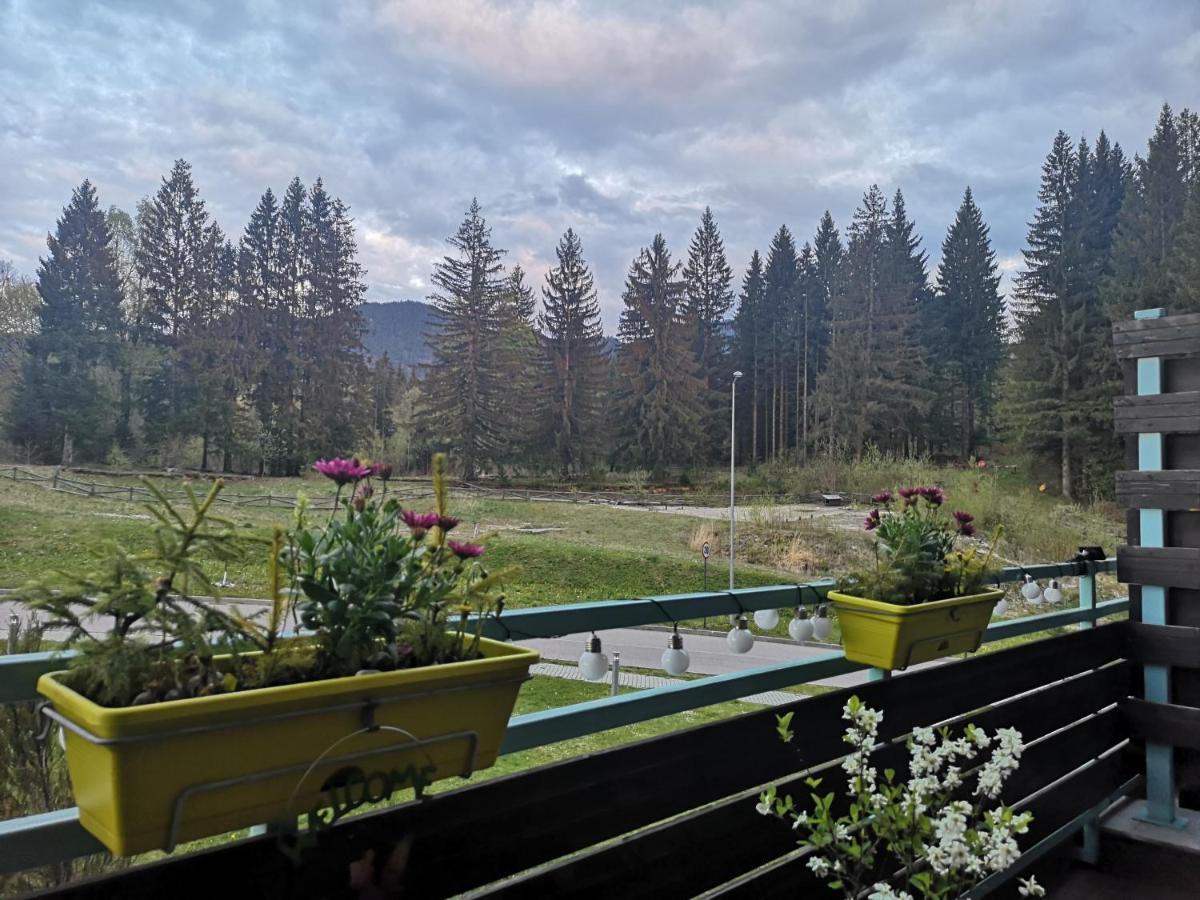 The Evergreen Nest Poiana Brasov Buitenkant foto