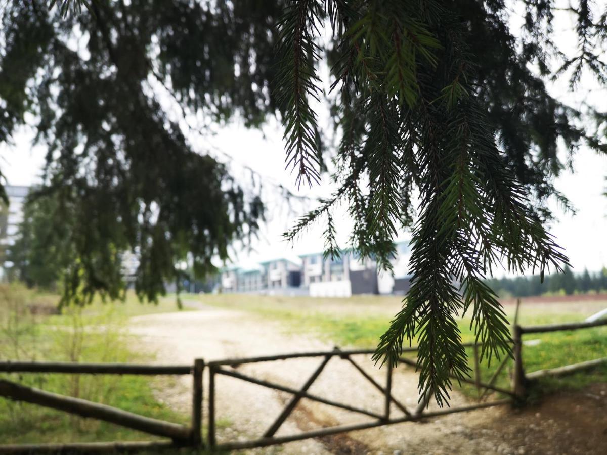 The Evergreen Nest Poiana Brasov Buitenkant foto