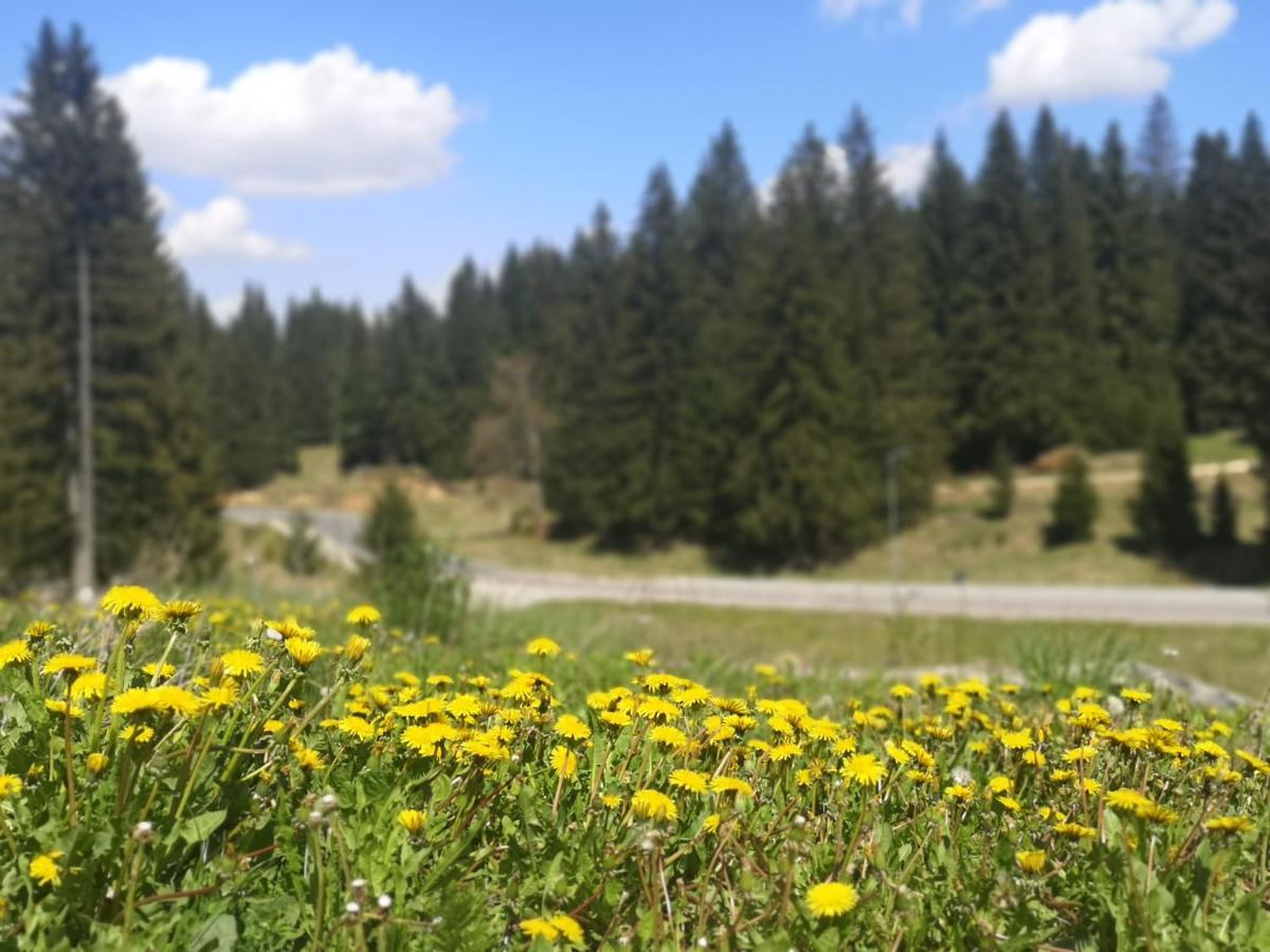 The Evergreen Nest Poiana Brasov Buitenkant foto