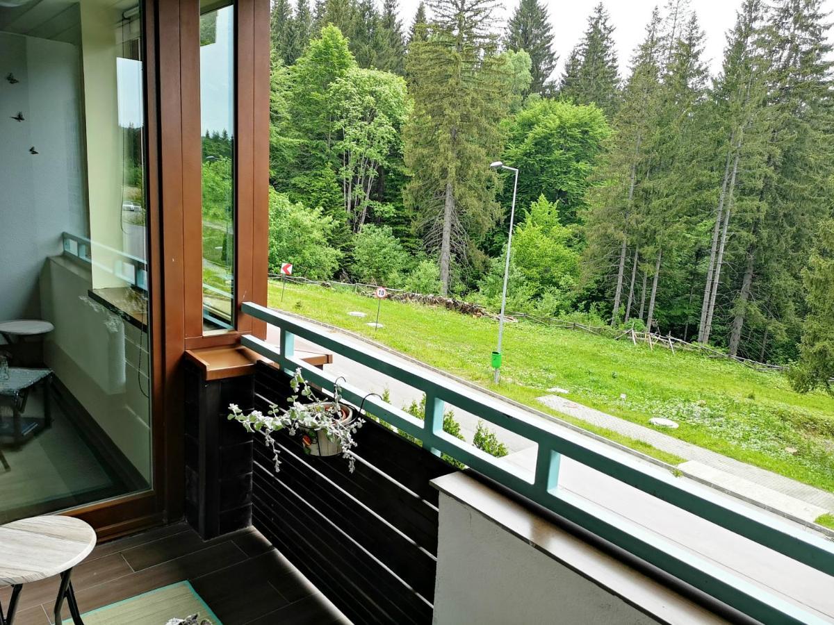 The Evergreen Nest Poiana Brasov Buitenkant foto