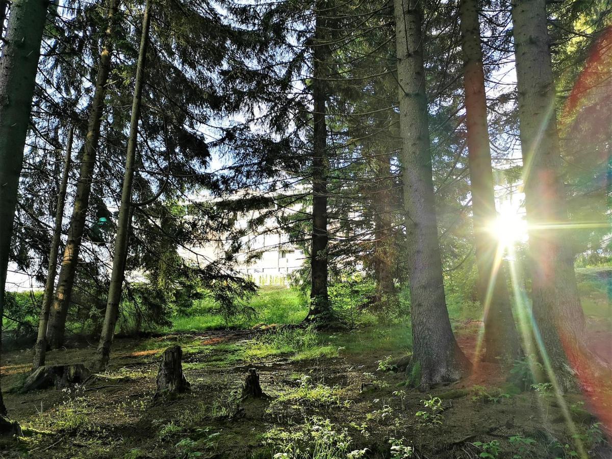 The Evergreen Nest Poiana Brasov Buitenkant foto