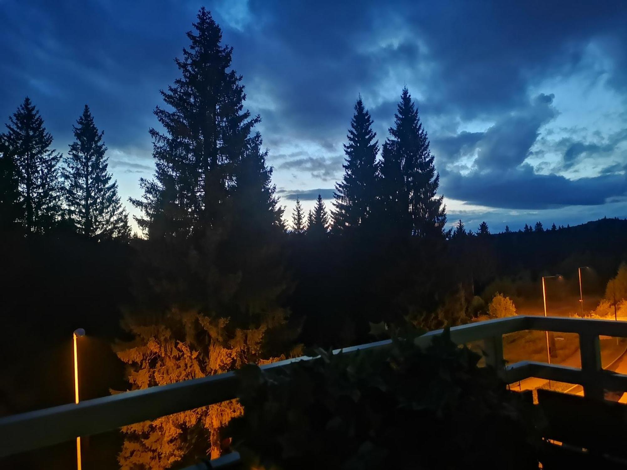 The Evergreen Nest Poiana Brasov Kamer foto